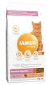 IAMS Cat Adult Sensitive Digestion Sucha Karma dla kota 3kg