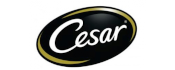 Cesar