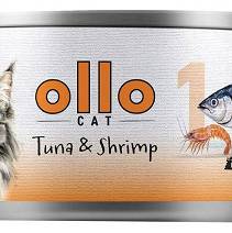 Ollo