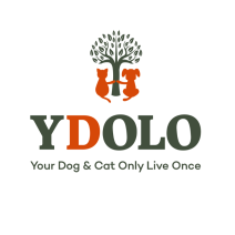 YDOLO