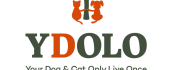 YDOLO 