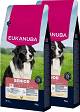 Eukanuba Pies Caring Medium Senior Sucha Karma 2x15kg DWU-PAK