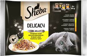 Sheba Kot Delicacy in Jelly Drobiowe smaki Mokra karma w galaretce 4x85g
