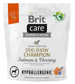 Brit care clearance show champion