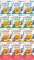 Schesir Soup Adult Mokra Karma dla kota 12x40g PAKIET DEGUSTACYJNY