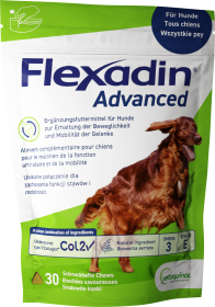 Vetoquinol Flexadin Advanced Sumplement diety na stawy dla psa 60 szt.