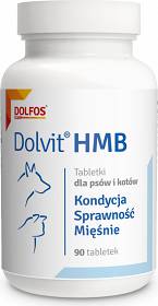Dolvit HMB suplement diety dla Psa i Kota 90 tab.