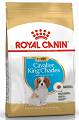 Royal Canin Pies Cavalier King Charles Puppy Sucha Karma 1.5kg