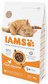 IAMS Cat Adult Chicken Sucha Karma z kurczakiem dla kota 3kg