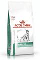 Royal Canin Veterinary Pies Diabetic Sucha Karma 2x12kg DWU-PAK