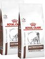Royal Canin Veterinary Pies Gastro Intestinal Moderate Calorie Sucha Karma 2x15kg DWU-PAK