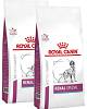 Royal Canin Veterinary Pies Renal Special Sucha Karma 2x10kg DWU-PAK
