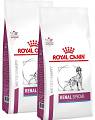 Royal Canin Veterinary Pies Renal Special Sucha Karma 2x10kg DWU-PAK
