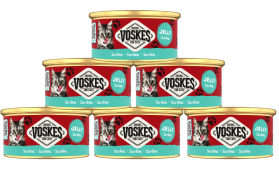 Voskes Original Jelly Sardine  Mokra Karma z sardynkami dla kota 24x85g PAKIET