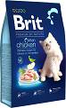 Brit Premium Kot Kitten Chicken Sucha Karma z kurczakiem 8kg