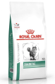 Royal Canin Veterinary Kot Diabetic Sucha Karma 1.5kg