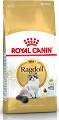 Royal Canin Kot Ragdoll Sucha Karma 2kg