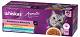 Whiskas Aromatyczna Mieszanka Karma w sosie dla kota 40x85g