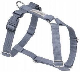 amiplay harness
