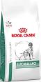 Royal Canin Veterinary Pies Glycobalance Sucha Karma 12kg