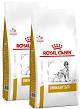 Royal Canin Veterinary Pies Urinary S/O Sucha Karma 2x13kg DWU-PAK