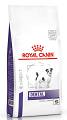 Royal Canin Expert Pies Small Dogs Dental Sucha Karma 1.5kg