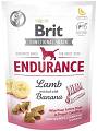 Brit Care Functional Snack Endurance przysmak 150g