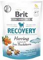 Brit Care Functional Snack Recovery przysmak 150g