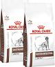 Royal Canin Veterinary Pies Gastro Intestinal Low Fat Sucha Karma 2x12kg DWU-PAK