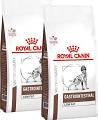 Royal Canin Veterinary Pies Gastro Intestinal Low Fat Sucha Karma 2x12kg DWU-PAK