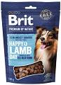 Brit Premium Happy Snacks Lamb with Sea Buckthorn Przysmak z jagnięciną dla psa 180g