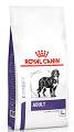 Royal Canin Expert Pies Large Adult Sucha Karma 13kg