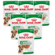 Royal Canin Pies Mini Ageing 8+ Mokra Karma 12x85g PAKIET