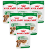 Royal Canin Pies Mini Ageing 8+ Mokra Karma 12x85g PAKIET