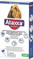 KRKA Ataxxa Krople na kleszcze i pchły dla psa 25-40kg (1 pipeta 4ml)