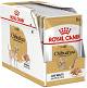 Royal Canin Pies Chihuahua Mokra Karma 12x85g PAKIET