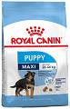 Royal Canin Pies Maxi Puppy Sucha Karma 4kg WYPRZEDAŻ