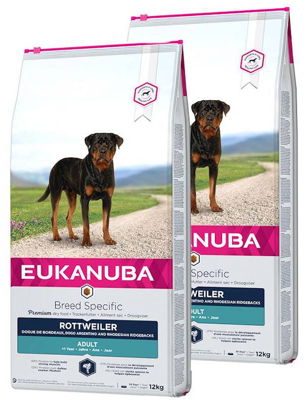 Eukanuba dog hotsell food rottweiler