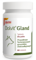 Dolvit Gland suplement diety dla psa 60 tab.