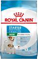 Royal Canin Pies Mini Starter Sucha Karma 8kg