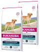 Eukanuba Pies Adult Labrador Breed Sucha Karma 2x12kg DWU-PAK