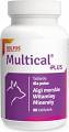 Dolvit Multical Plus DOG suplement diety dla psa 90 tab.