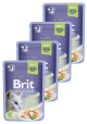 Brit Premium Kot with Trout Fillets for Adult Cats Jelly Mokra Karma z pstrągiem 12x85g PAKIET