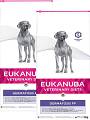 Eukanuba Pies Dermatosis FP Sucha Karma 2x12kg DWU-PAK
