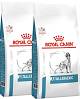 Royal Canin Veterinary Pies Anallergenic Sucha Karma 2x8kg DWU-PAK