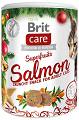 Brit Care Christmas Superfruits Salmon Przysmak 100g
