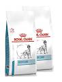 Royal Canin Veterinary Pies Skin Care Sucha Karma 2x11kg DWU-PAK