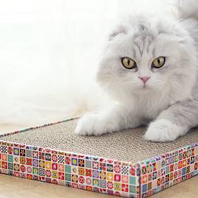 Pet Supplies Scratch Board Drapak kartonowy nr PS0628