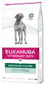 Eukanuba Pies Restricted Calorie Sucha Karma 12kg