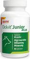 Dolvit Junior Plus suplement mineralno-witaminowy dla szczeniaka 90 tab.